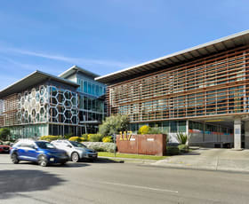Offices commercial property for lease at 230/117 Old Pittwater Road Brookvale NSW 2100