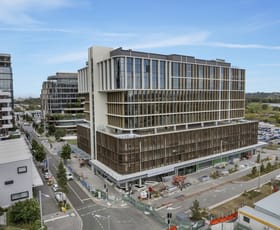 Medical / Consulting commercial property leased at 3 Mundoo Boulevard Maroochydore QLD 4558