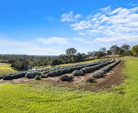 Rural / Farming commercial property for lease at Farm 610 Bells Line of Road Kurmond NSW 2757