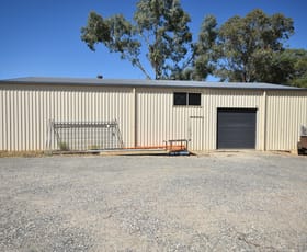 Factory, Warehouse & Industrial commercial property for lease at 5/1014 Nowra Street North Albury NSW 2640