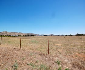 Development / Land commercial property sold at Lot 251 Albertson Road Barnawartha North VIC 3691