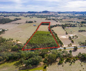 Development / Land commercial property sold at Lot 31 Urana Road Jindera NSW 2642