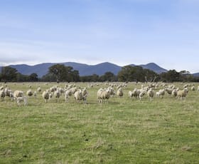 Rural / Farming commercial property sold at 158-161 Napiers Road Victoria Valley VIC 3294