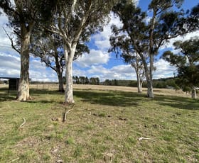 Rural / Farming commercial property sold at 110 Thompson Creek Road Portland NSW 2847