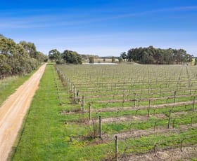 Viticulture commercial property sold at 880 Winchelsea-Deans Marsh Road Winchelsea South VIC 3241