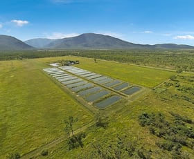 Rural / Farming commercial property sold at Lot 6 & 7 Webb Road Majors Creek QLD 4816