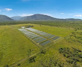 Rural / Farming commercial property for sale at Lot 6 & 7 Webb Road Majors Creek QLD 4816