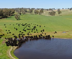 Rural / Farming commercial property sold at 897 Murringo Flats Road Murringo NSW 2586
