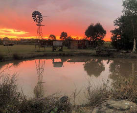 Rural / Farming commercial property for sale at 53 Cane Farm Rd Alberton QLD 4207