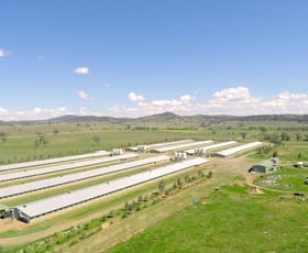 Rural / Farming commercial property for sale at Somerton NSW 2340