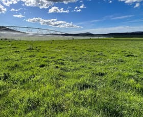 Rural / Farming commercial property for sale at - Tasman Highway Nunamara TAS 7259