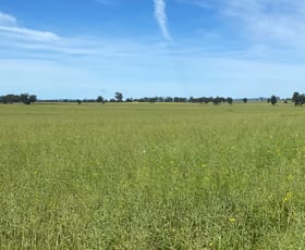 Rural / Farming commercial property sold at Sunny Slopes Warraderry Way Gooloogong NSW 2805