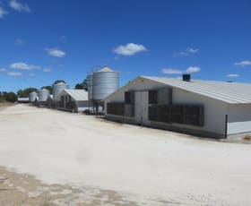 Rural / Farming commercial property for sale at 259 King Road Oldbury WA 6121