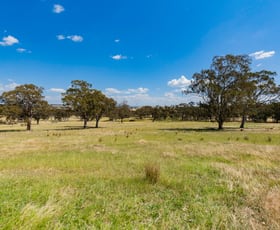 Rural / Farming commercial property for sale at Byangle, 1721 Wee Jasper Road Tumut NSW 2720