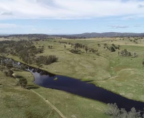 Rural / Farming commercial property sold at Armidale NSW 2350