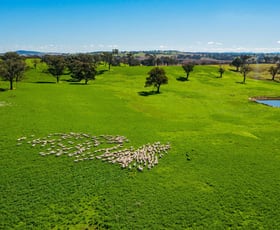Rural / Farming commercial property sold at Cootamundra NSW 2590