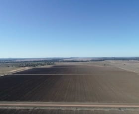 Rural / Farming commercial property for sale at Borambil Station, Lachlan Valley Way Condobolin NSW 2877