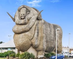 Other commercial property sold at The Big Merino - Regional Tourism & Retail Busines Goulburn NSW 2580