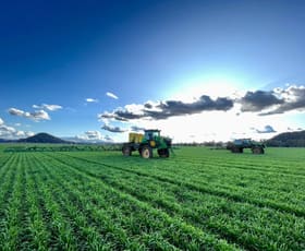 Rural / Farming commercial property sold at Mullaley NSW 2379