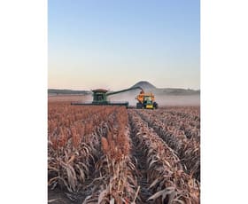 Rural / Farming commercial property sold at Mullaley NSW 2379