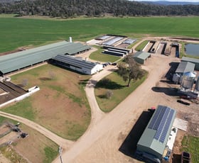 Rural / Farming commercial property sold at Silvermere Holsteins Forbes Road Cowra NSW 2794