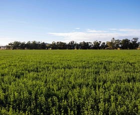 Rural / Farming commercial property sold at Canowindra NSW 2804