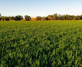 Rural / Farming commercial property sold at Canowindra NSW 2804