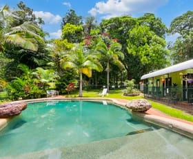 Hotel, Motel, Pub & Leisure commercial property sold at 88 Kuranda Heights Road Kuranda QLD 4881