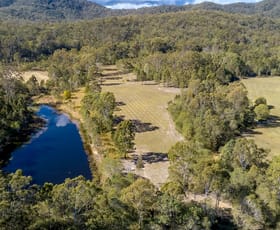 Rural / Farming commercial property for sale at 1807 Beaudesert - Beenleigh Road Tamborine QLD 4270