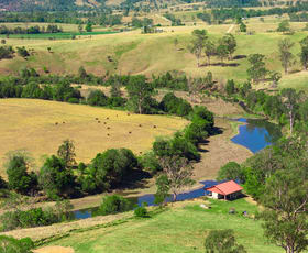 Rural / Farming commercial property sold at Toms Creek Road Ellenborough NSW 2446