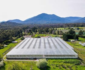 Rural / Farming commercial property sold at 27 Barak Lane Healesville VIC 3777