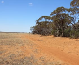 Development / Land commercial property for sale at 4228 Binnu Road East Dartmoor WA 6532