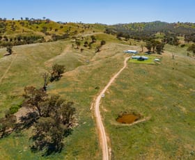 Rural / Farming commercial property for sale at 323 Yabtree Road Wagga Wagga NSW 2650