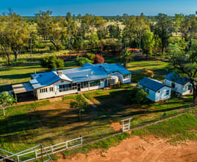 Rural / Farming commercial property for sale at 4550 BOLLON DIRRANBANDI ROAD Dirranbandi QLD 4486