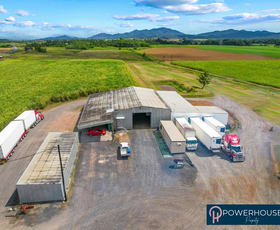 Rural / Farming commercial property for sale at Lot 19 Bruce Hwy Fitzgerald Creek QLD 4860