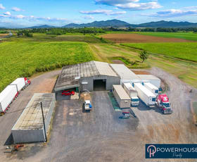 Rural / Farming commercial property sold at Lot 19 Bruce Hwy Fitzgerald Creek QLD 4860