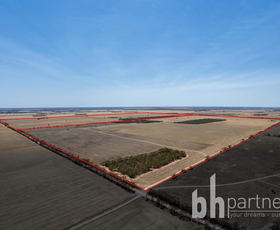 Other commercial property for sale at 244 Starick Road Cambrai SA 5353