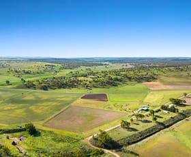 Rural / Farming commercial property for sale at Lot 2 Gomoran Douglas Rd Douglas QLD 4354