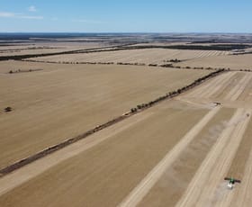 Development / Land commercial property for sale at 42666 Eyre Highway Mudamuckla SA 5680