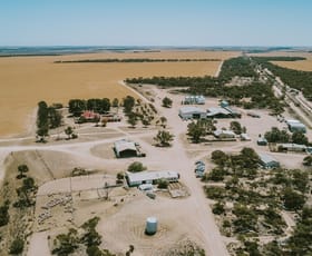 Rural / Farming commercial property for sale at 42666 Eyre Highway Mudamuckla SA 5680