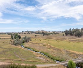Rural / Farming commercial property for sale at 595 Ancona Road Ancona VIC 3715
