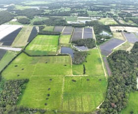 Rural / Farming commercial property sold at 280 Child Road Wamuran QLD 4512