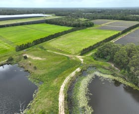 Rural / Farming commercial property sold at 280 Child Road Wamuran QLD 4512