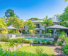 Hotel, Motel, Pub & Leisure commercial property for sale at Noosaville QLD 4566