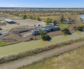 Rural / Farming commercial property for sale at 1297 & 1433 Leitchville-Kerang Road Mcmillans VIC 3568