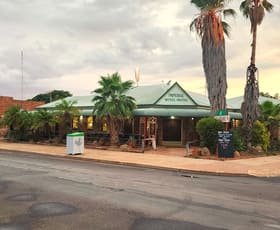 Hotel, Motel, Pub & Leisure commercial property for sale at 42 Brolga Street Quilpie QLD 4480
