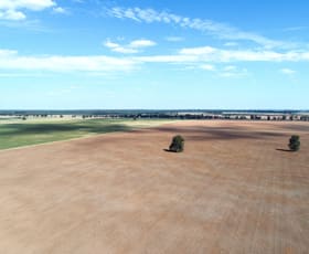 Rural / Farming commercial property for sale at 1041 Balladoran Railway Road Gilgandra NSW 2827