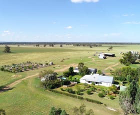 Rural / Farming commercial property sold at 1041 Balladoran Railway Road Gilgandra NSW 2827