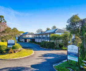 Hotel, Motel, Pub & Leisure commercial property for sale at 166 Balmoral Road Montville QLD 4560