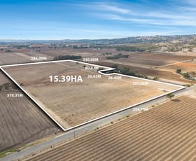 Rural / Farming commercial property for sale at Lot 202 Basedow Road Vine Vale SA 5352